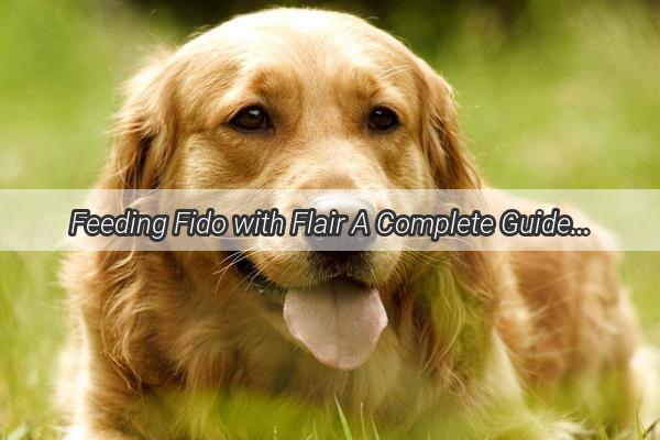 Feeding Fido with Flair A Complete Guide to Preparing Your Dogs Meals Before Adoption